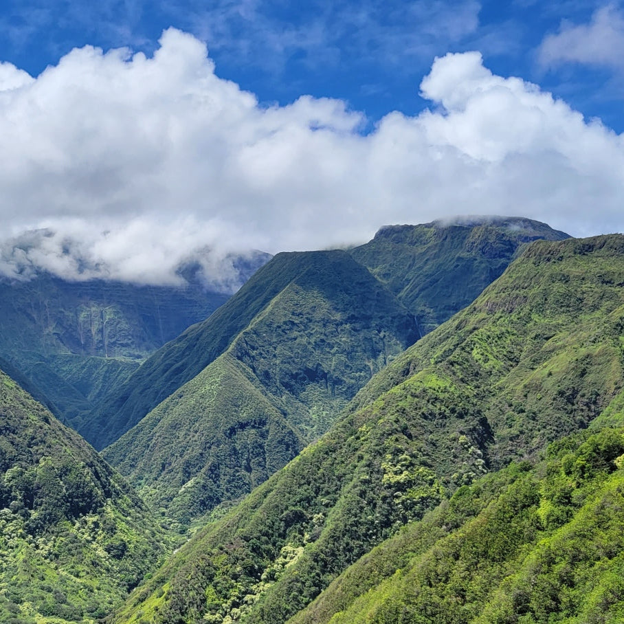 Hiking mountain top trails in Maui