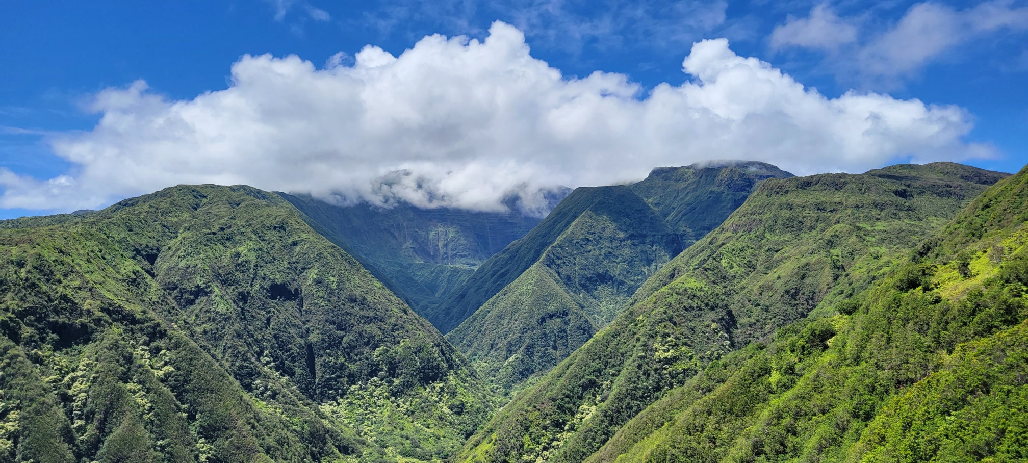 Hiking mountain top trails in Maui