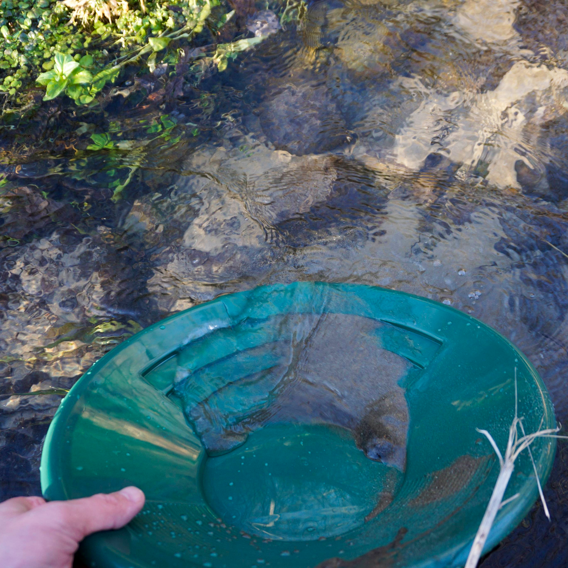 NubuClo 14 inch gold prospecting pan in stream water during active gold panning.
