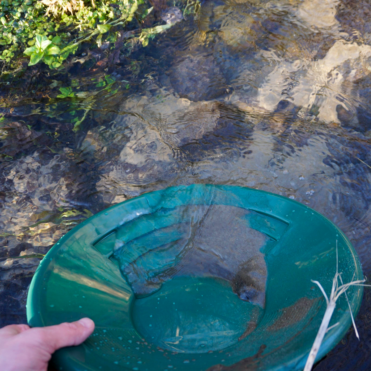 NubuClo 14 inch gold prospecting pan in stream water during active gold panning.
